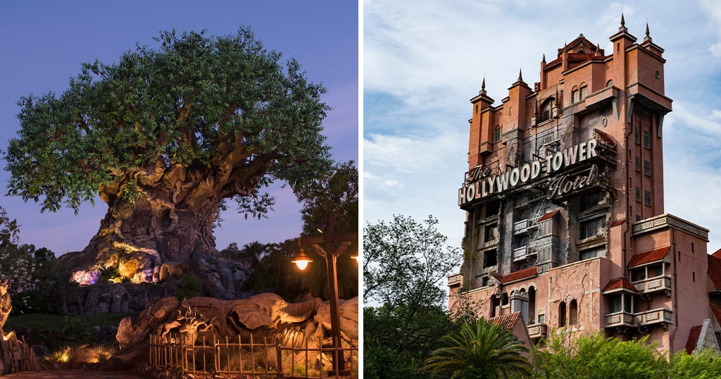 Animal Kingdom vs Hollywood Studios