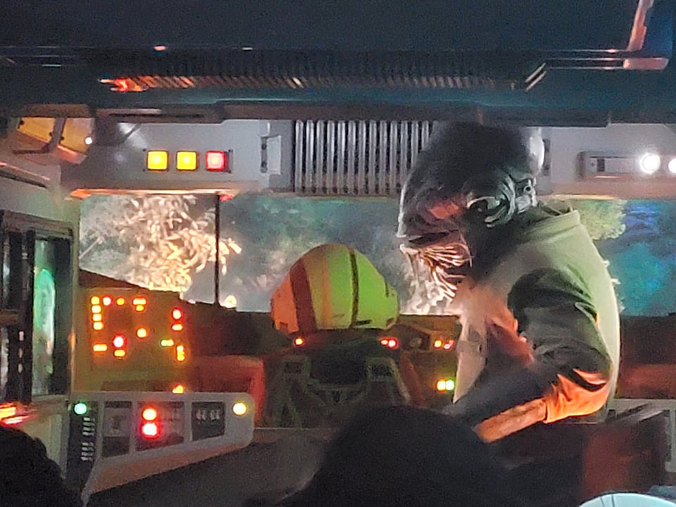 Star Wars: Rise of the Resistance Rey