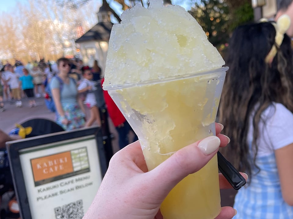 EPCOT Coconut Pineapple Shaved Ice Saki