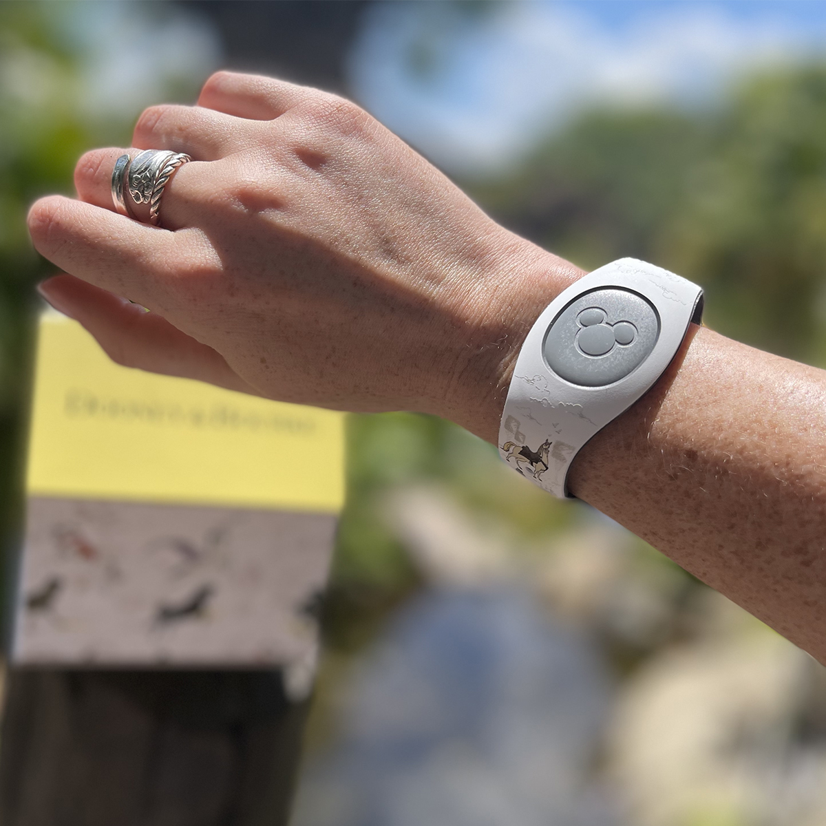a magic band on a wrist at the Animal Kingdom tree of life