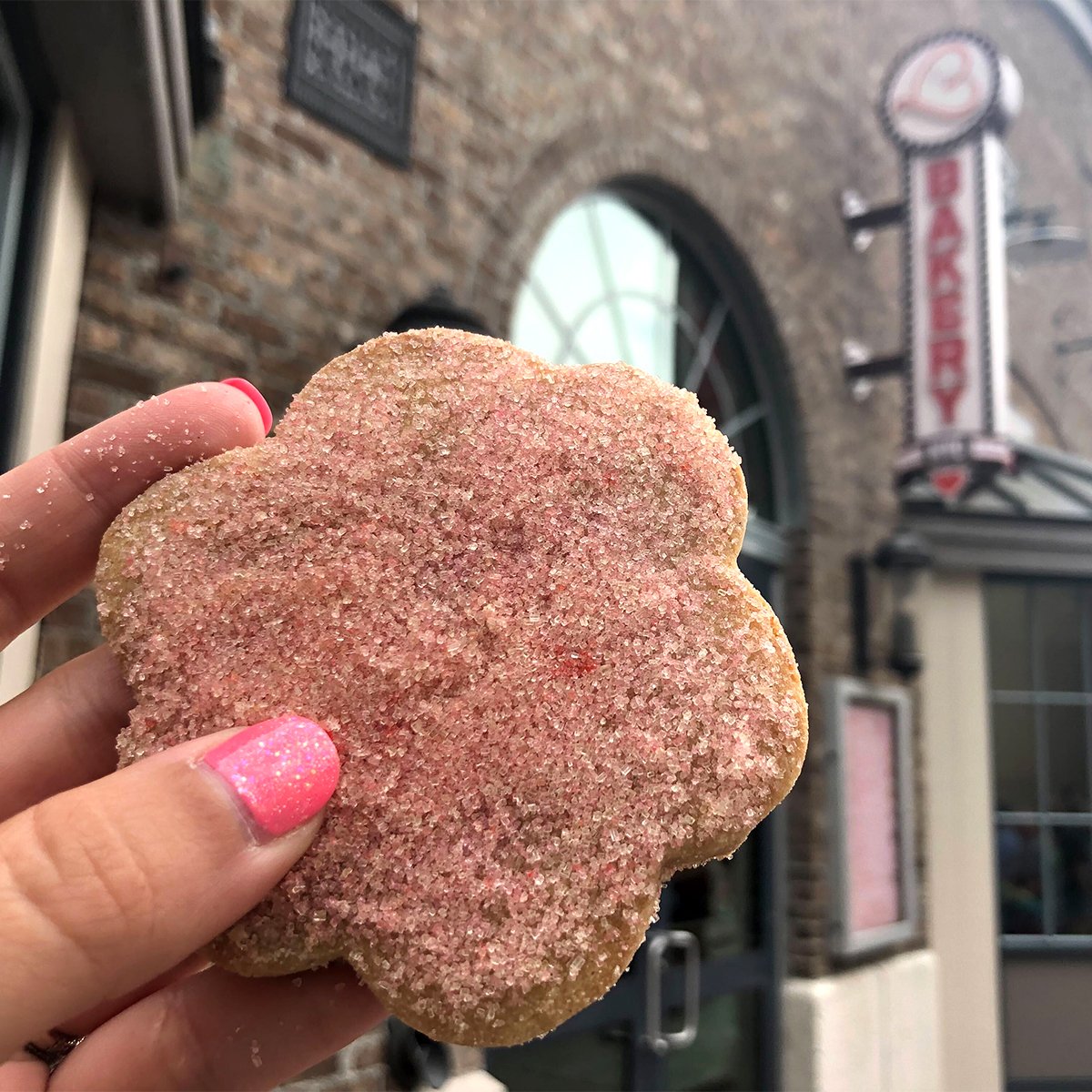 a sugar cookie from erin mckennas