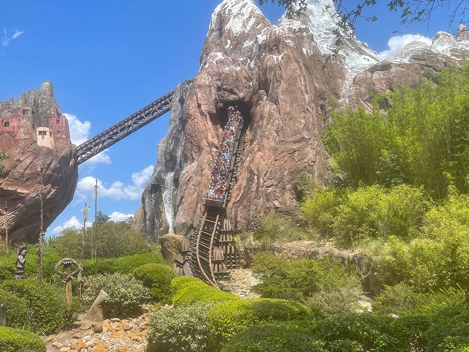 The Expedition Everest Coaster Animal Kingdom