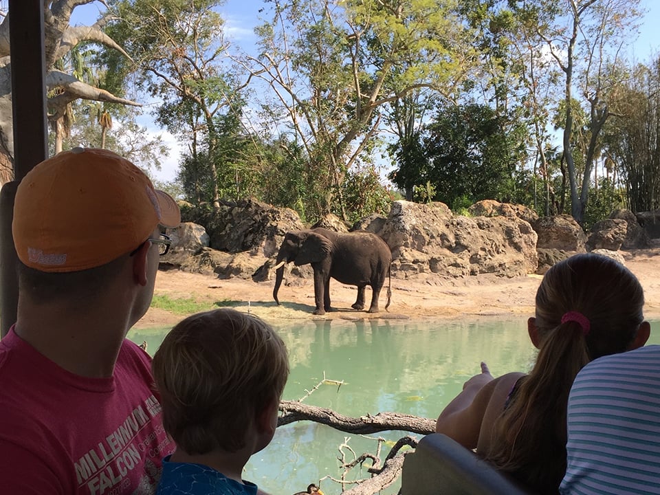 Guests with Toddlers Watch an Elephant on the Safari