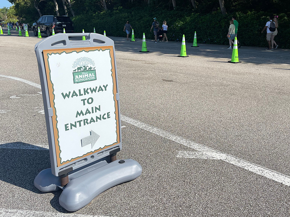 Animal Kingdom Guest Walkway from Parking Lot Sign