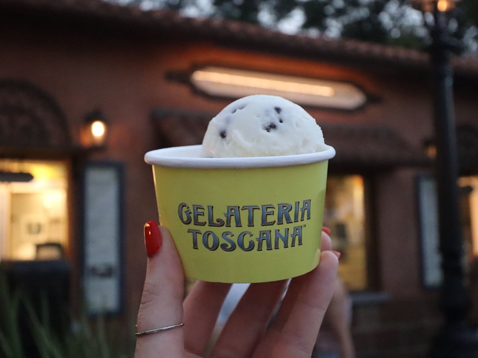 Italian Ice Cream in a Cup Gelateria Toscana
