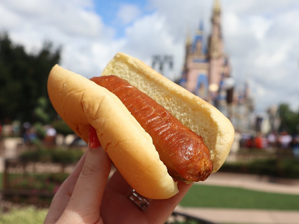 Hot Dog Plain from Casey's Corner