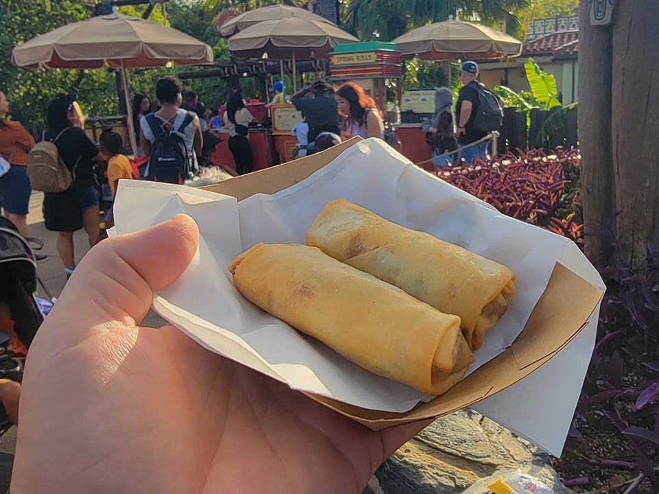Two Cheeseburger Spring Rolls in a Tray