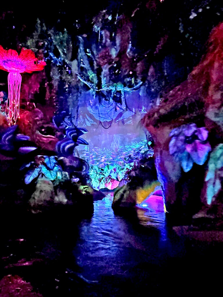 Inside Na'vi River Journey in Pandora inside Animal Kingdom. (©John Gullion/Hey Orlando).