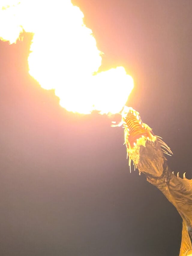 Universal Studios vs Islands of Adventure: Which is better?