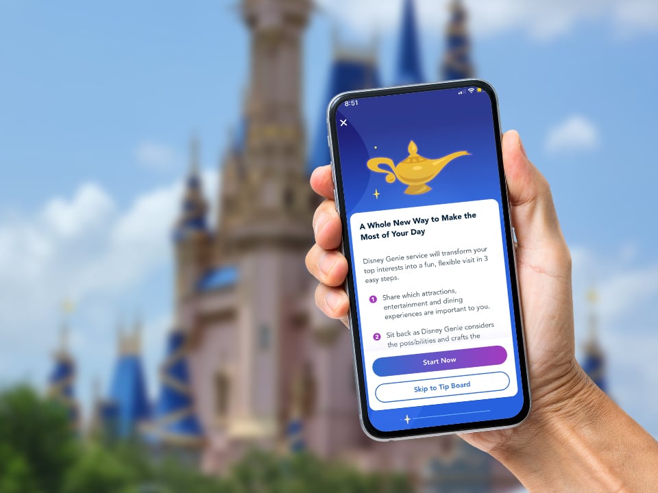 disney service phone mockup with castle in background