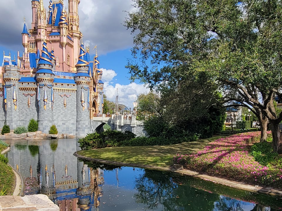a view from the castle shows a bridge in orlando