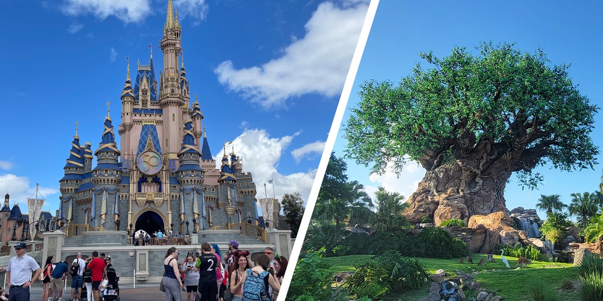 Magic Kingdom vs Animal Kingdom, Which Is Better? A Full Breakdown