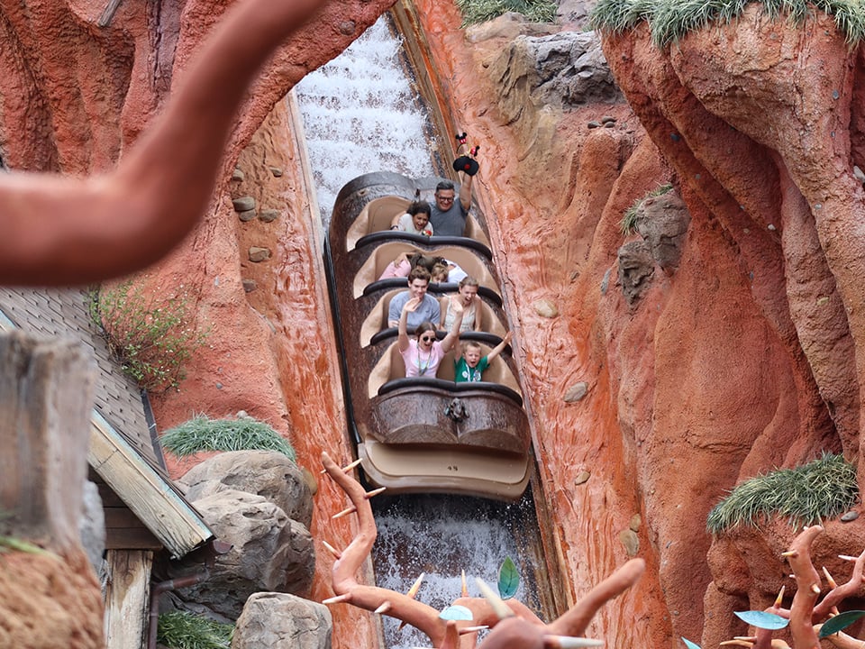 Splash Mountain's 5-story Dop